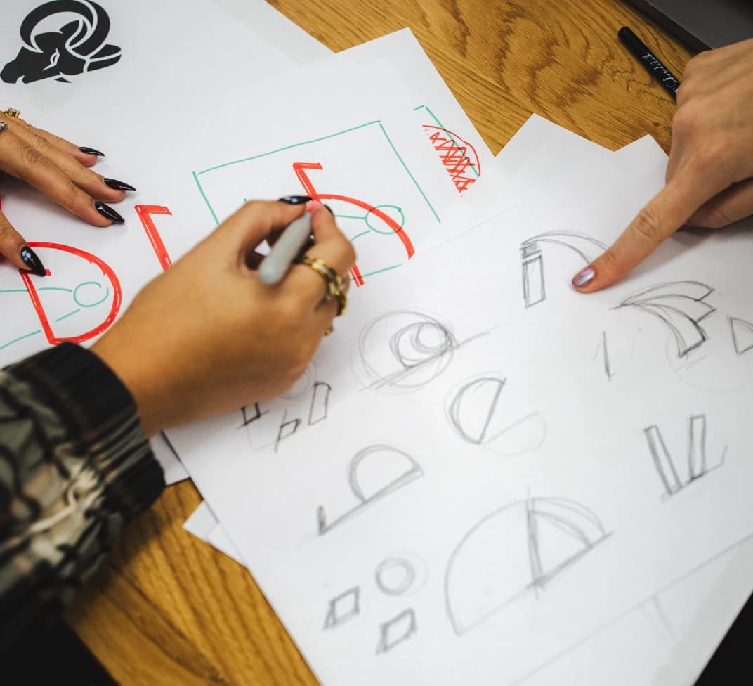 Hand drawing Rams horn studies