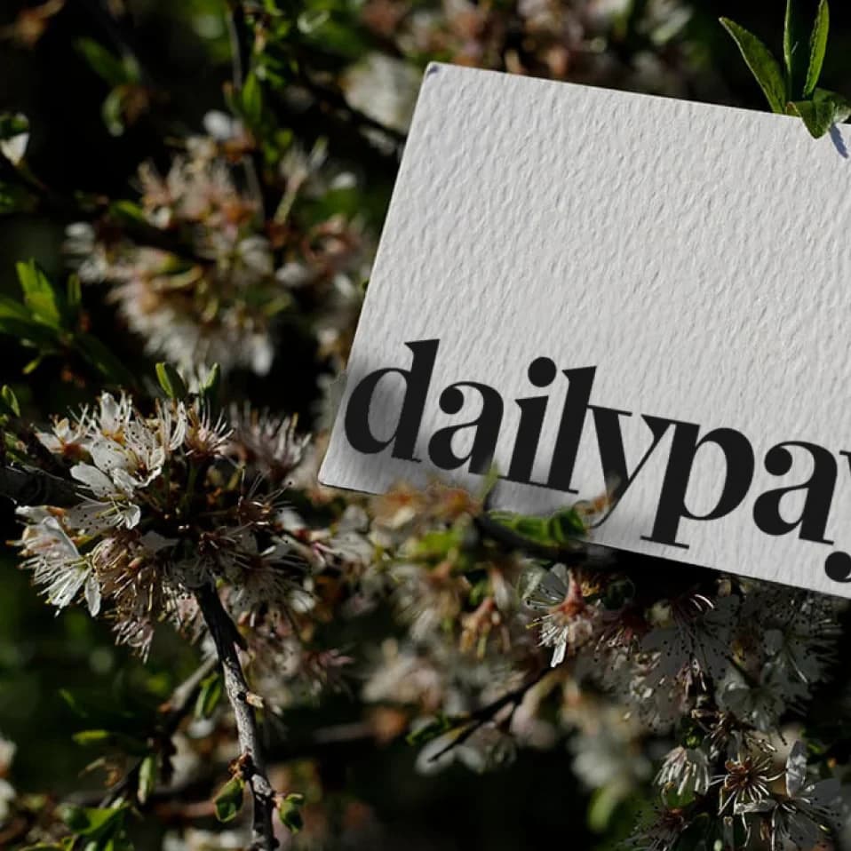A letterpress dailypay business card resting among white blossom